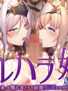 Valhalla Brothel: We, seasoned warriors, teach those cocky warrior maidens a lesson with our powerful The Motion Anime